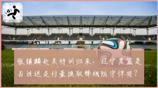 张镇麟赴美特训归来,辽宁男篮是否该送走付豪换取锋线防守悍将?
