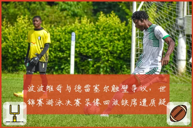 波波维奇与德雷塞尔触壁争议,世锦赛游泳决赛录像回放缺席遭质疑__br_