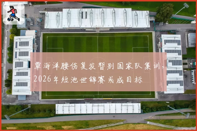 覃海洋腰伤复发暂别国家队集训,2026年短池世锦赛或成目标